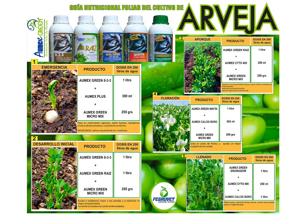 programa-arveja